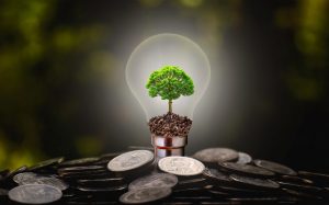 IEA Yenilenebilir Enerji 2019 Raporu Türkiye Lansmanı